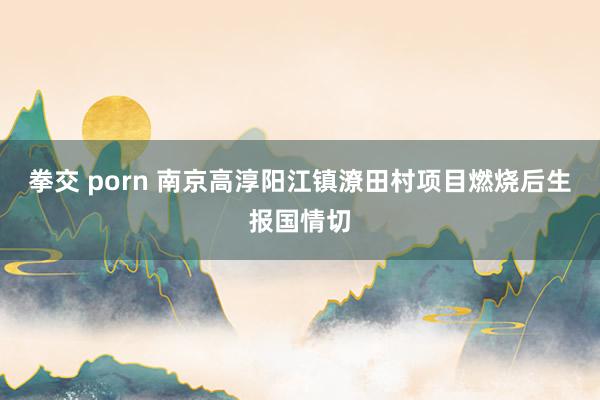 拳交 porn 南京高淳阳江镇潦田村项目燃烧后生报国情切